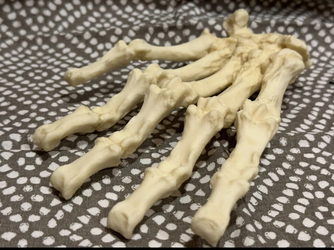 Black Bear front Paw cast replica