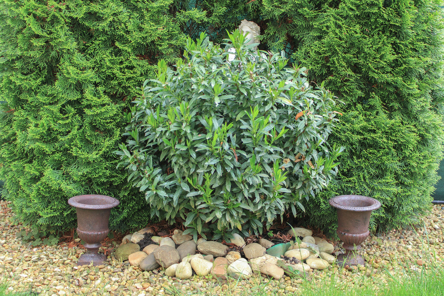 Cast Iron Garden Vase in Pair