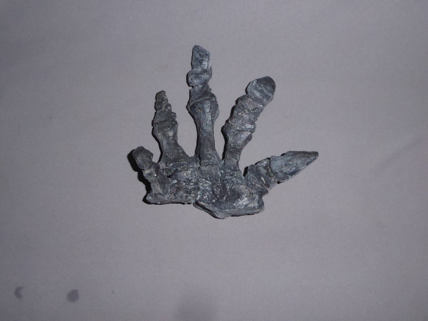 Camptosaurus Dinosaur Hand Cast Replica