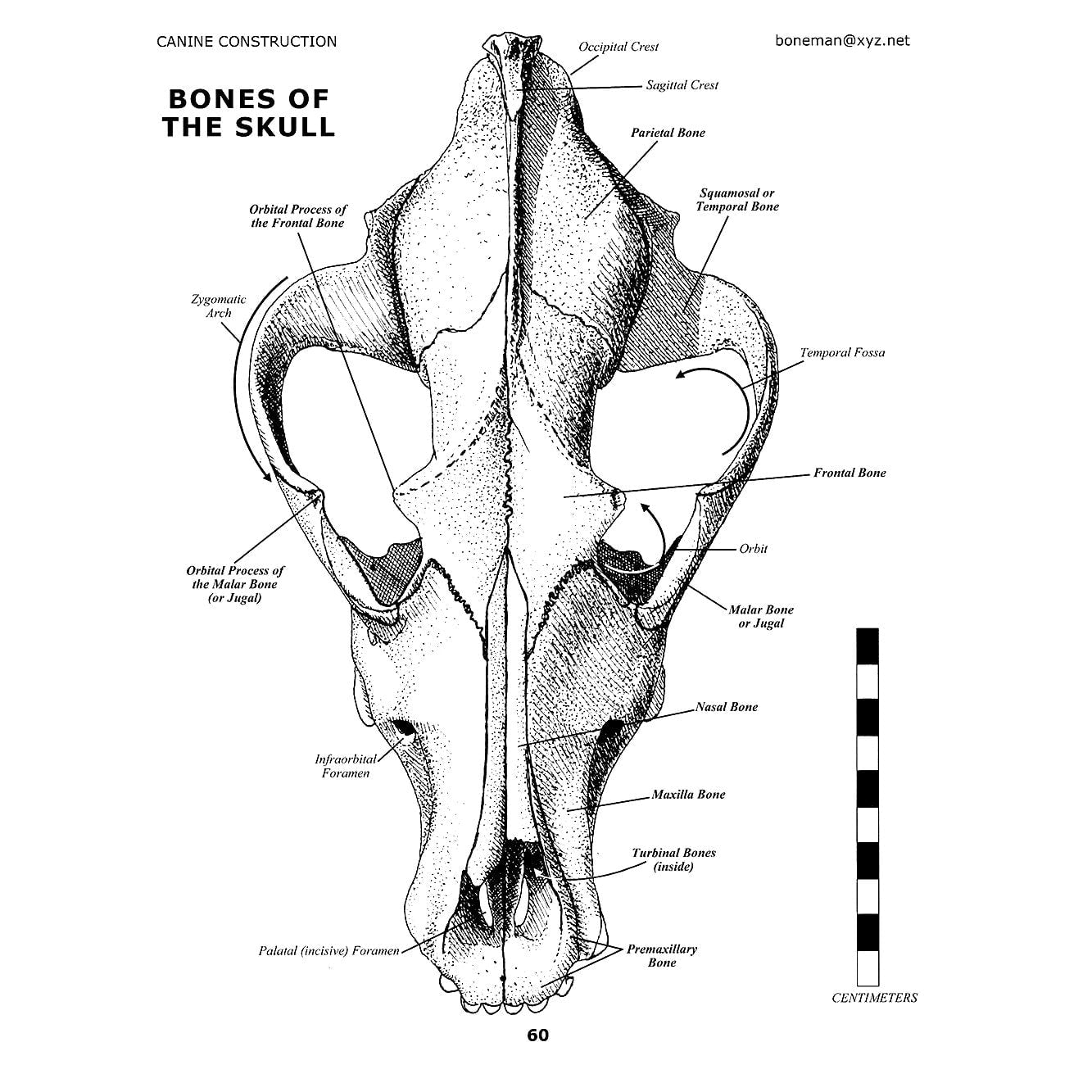 Canine Construction Book (Vol. 8)