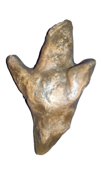 Carnosaur Dinosaur Track or Footprint Dinosaur track cast replica