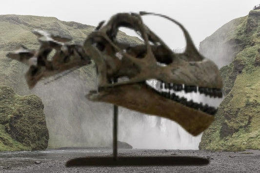 Camarasaurus skull cast replica #1 Camarasaurus grandis skull (GMNH-PV 101)