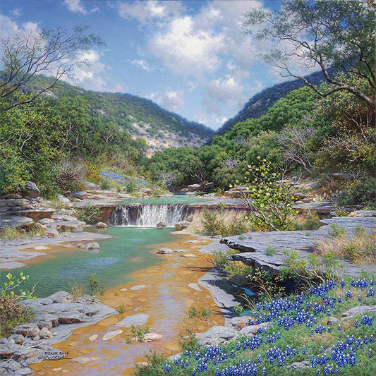Canyon Shadows by Larry Dyke