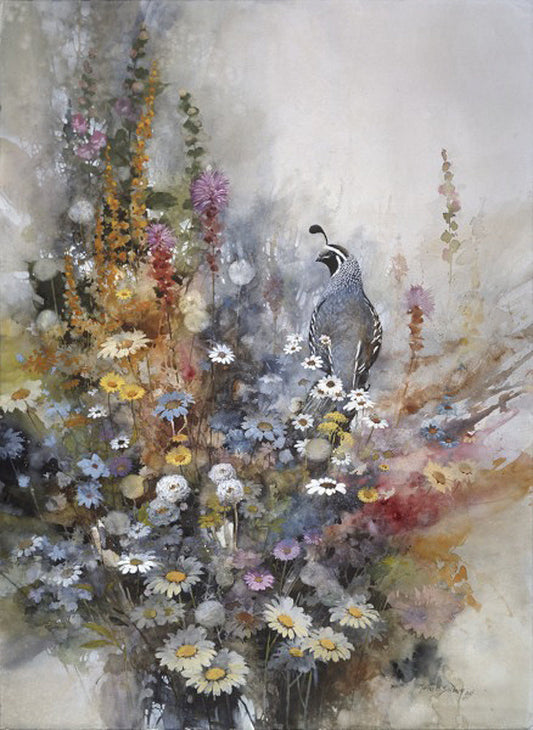 California Quail Art Prints by Morten E Solberg Artist