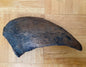 Camarasaurus claw cast replica #1