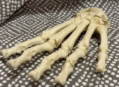 Black Bear front Paw cast replica
