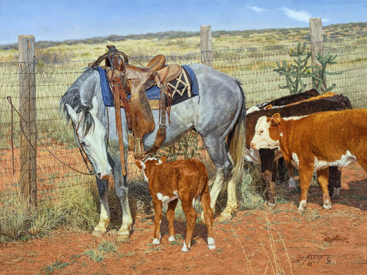 Cant Help You Kid Cattle Horse Art Prints by Tim Cox