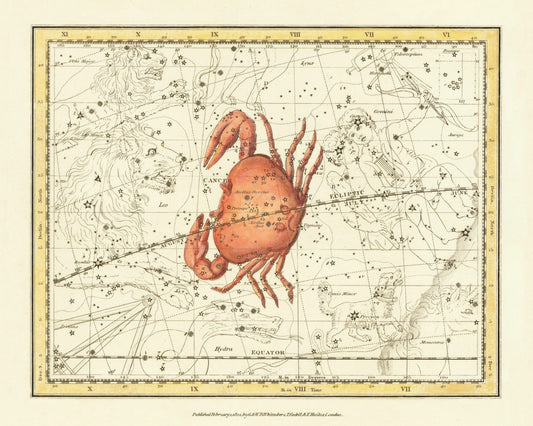 Cancer Constellation