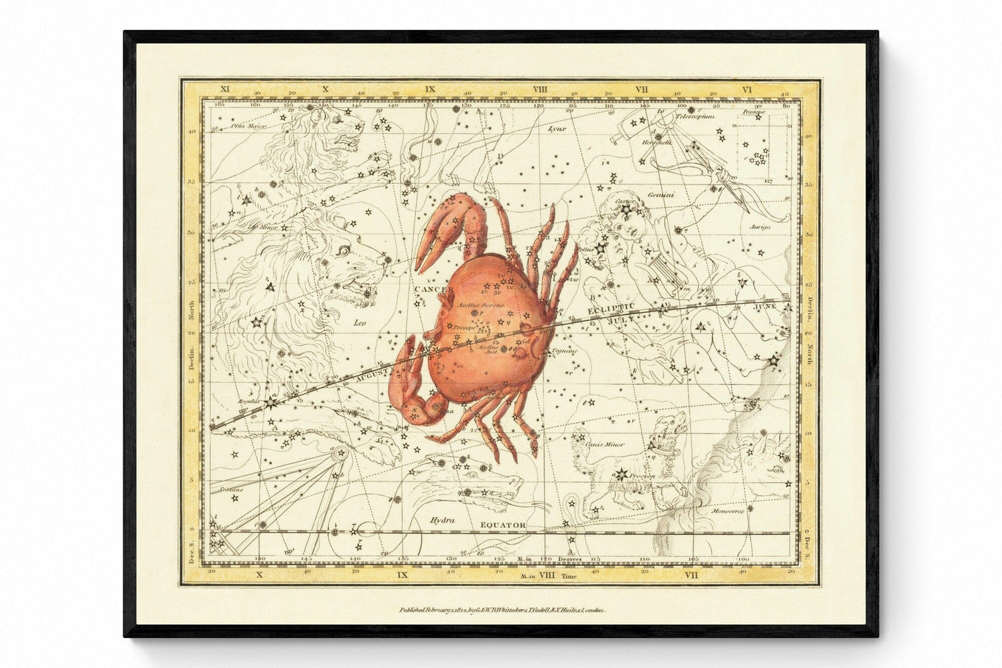 Cancer Constellation