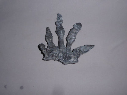 Camptosaurus Dinosaur Hand Cast Replica